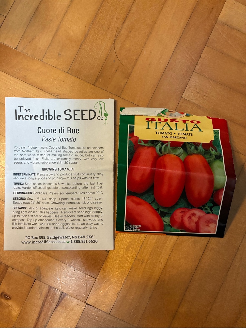 Tomato Seeds
